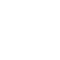 bluewolf_logo_white